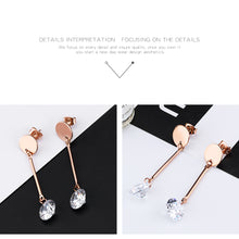 Load image into Gallery viewer, Fancy stainless steel jewelry Earrings