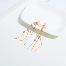 Load image into Gallery viewer, Fancy stainless steel jewelry Earrings