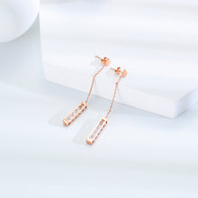 Load image into Gallery viewer, Fancy stainless steel jewelry Earrings