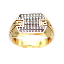 Load image into Gallery viewer, Men's Rings in Yellow 10K Gold (micro pavé)
