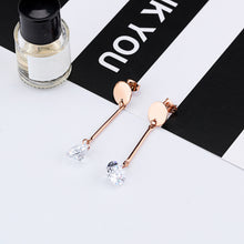 Load image into Gallery viewer, Fancy stainless steel jewelry Earrings
