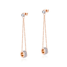Load image into Gallery viewer, Fancy stainless steel jewelry Earrings
