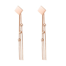 Load image into Gallery viewer, Fancy stainless steel jewelry Earrings
