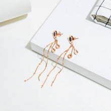 Load image into Gallery viewer, Fancy stainless steel jewelry Earrings
